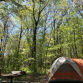 Review photo of Mille Lacs Kathio Petaga Campground — Mille Lacs Kathio State Park by Brian C., May 28, 2019