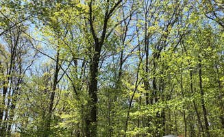 Brian C.'s photo at Mille Lacs Kathio Petaga Campground — Mille Lacs Kathio State Park near Isle, MN