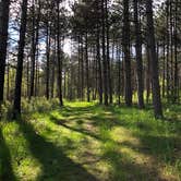 Review photo of Mille Lacs Kathio Petaga Campground — Mille Lacs Kathio State Park by Brian C., May 28, 2019