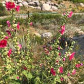 Review photo of Sinks Campground — Sinks Canyon State Park by Steve & Ashley  G., May 28, 2019