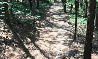 Julie C.'s photo of camping with pets at South Mountains State Park Family Campground near Granite Falls, NC