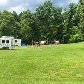 Review photo of Barkcamp State Park Campground by Bobby C., May 28, 2019