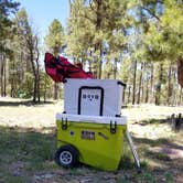 Review photo of Woods Canyon Group Campground by Krista Z., May 28, 2019