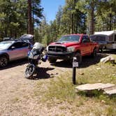 Review photo of Woods Canyon Group Campground by Krista Z., May 28, 2019