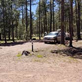 Review photo of Woods Canyon Group Campground by Krista Z., May 28, 2019