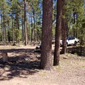 Review photo of Woods Canyon Group Campground by Krista Z., May 28, 2019