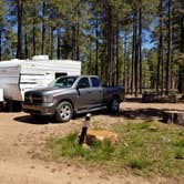 Review photo of Woods Canyon Group Campground by Krista Z., May 28, 2019