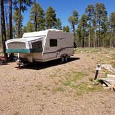 Review photo of Woods Canyon Group Campground by Krista Z., May 28, 2019