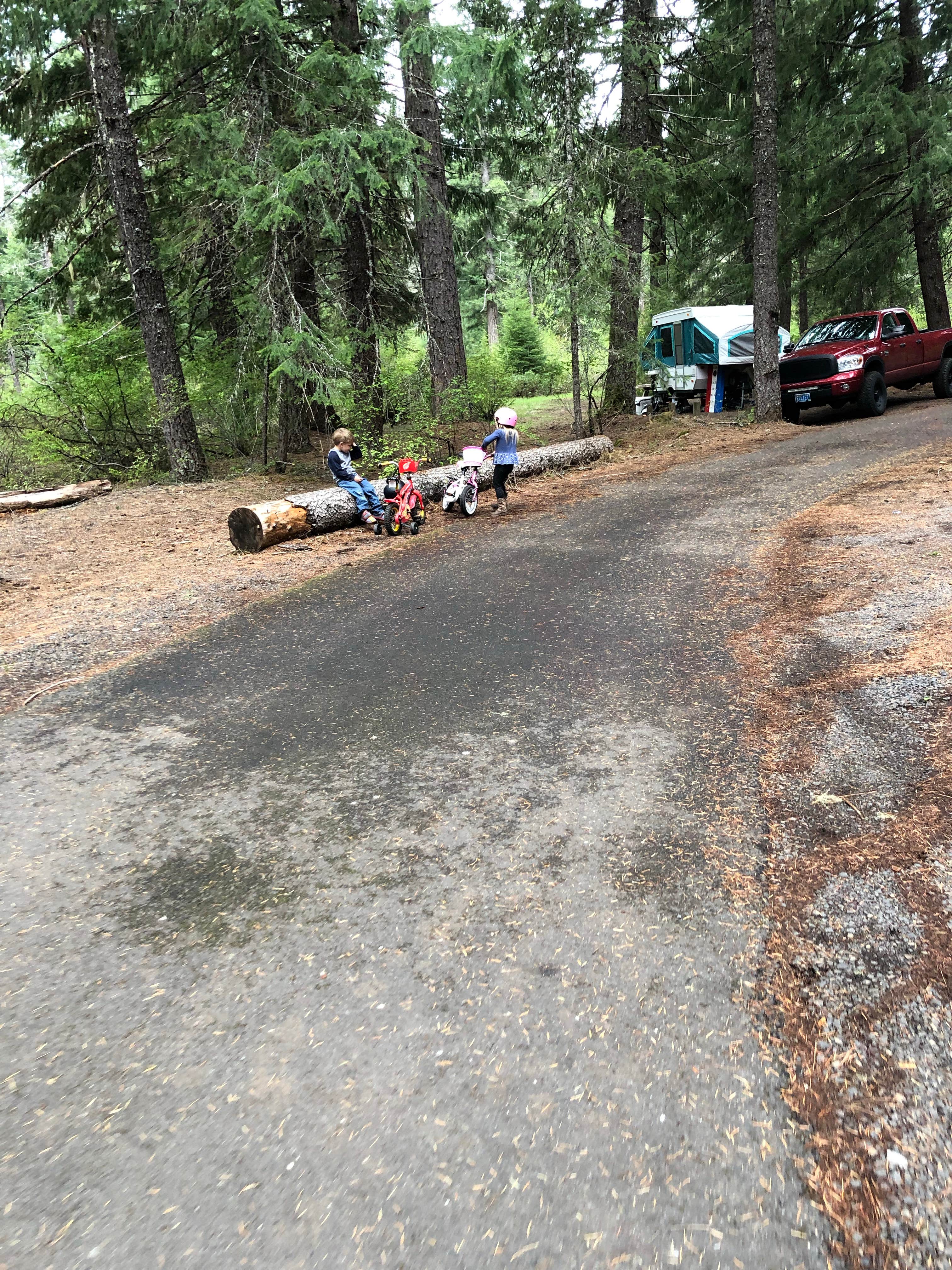 Camper submitted image from Union Creek Campground - 5