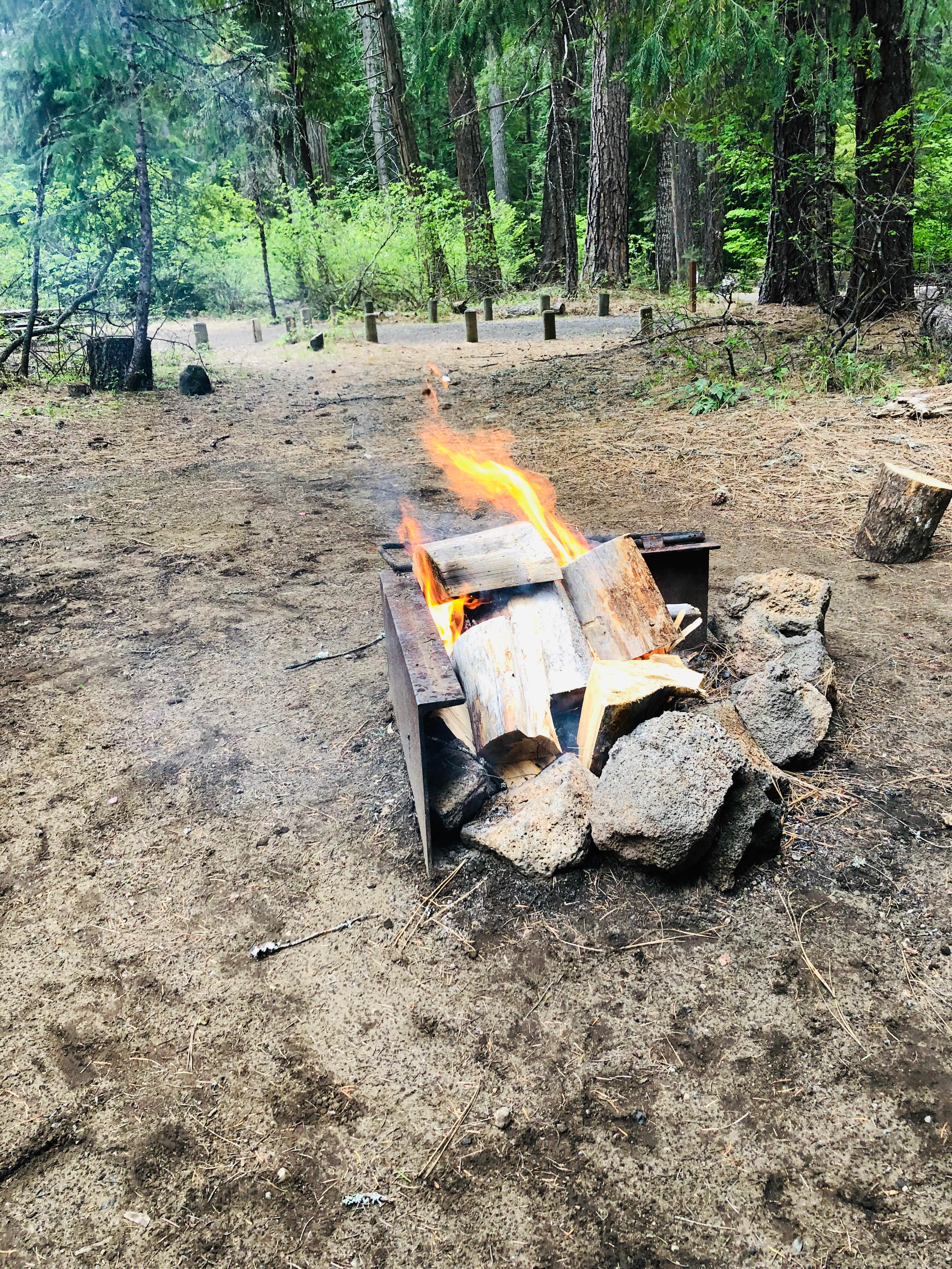 Camper submitted image from Union Creek Campground - 4