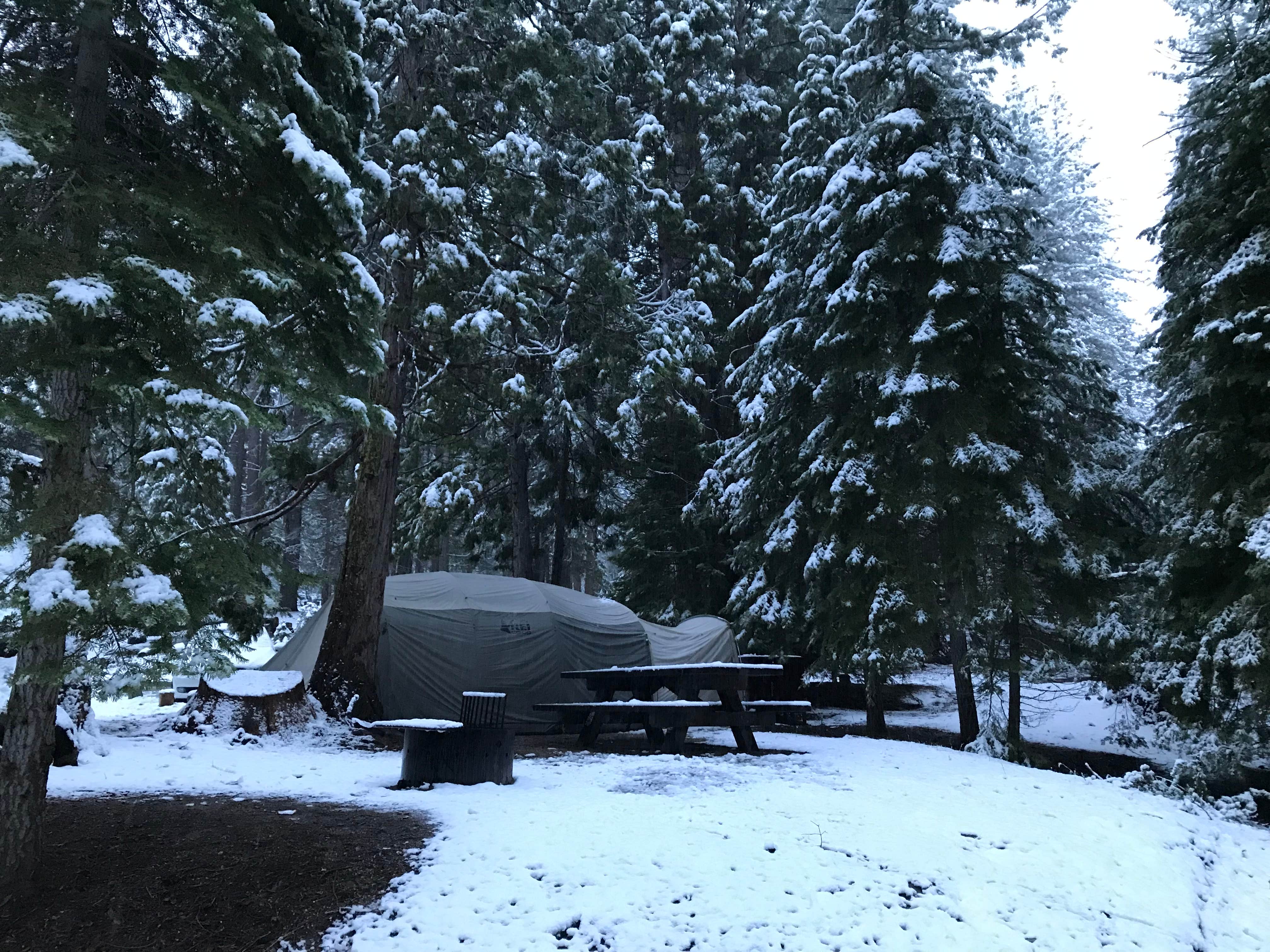 Camper submitted image from Princess - 4