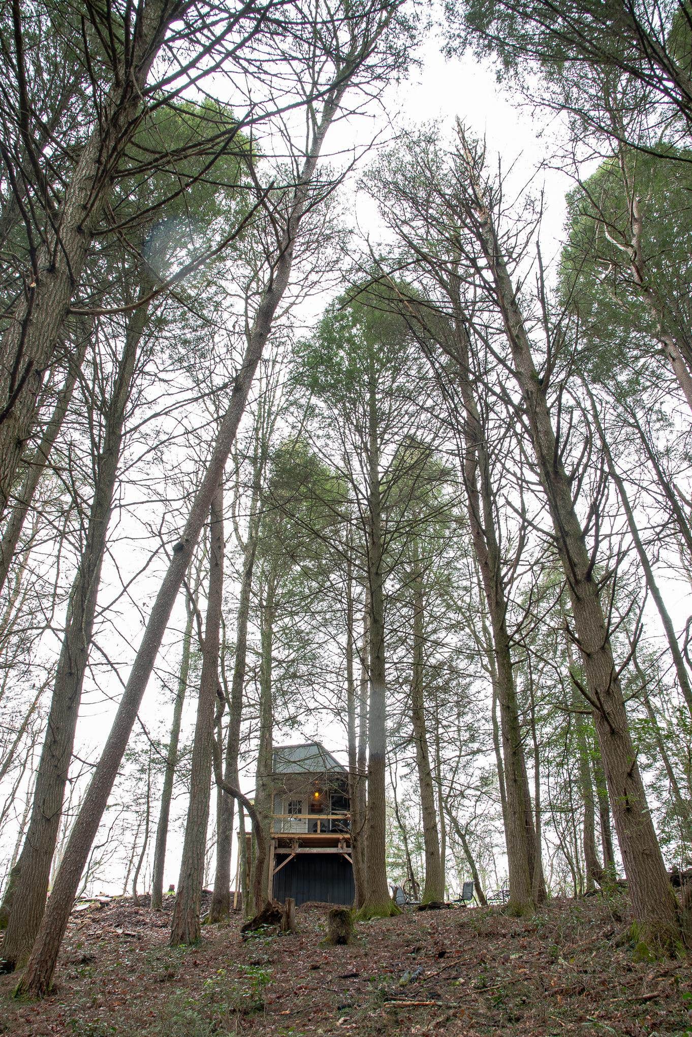 The Dyrt's photo of a cabin at Hemlock Cabin at Ranger Creek near Bridgeport, AL