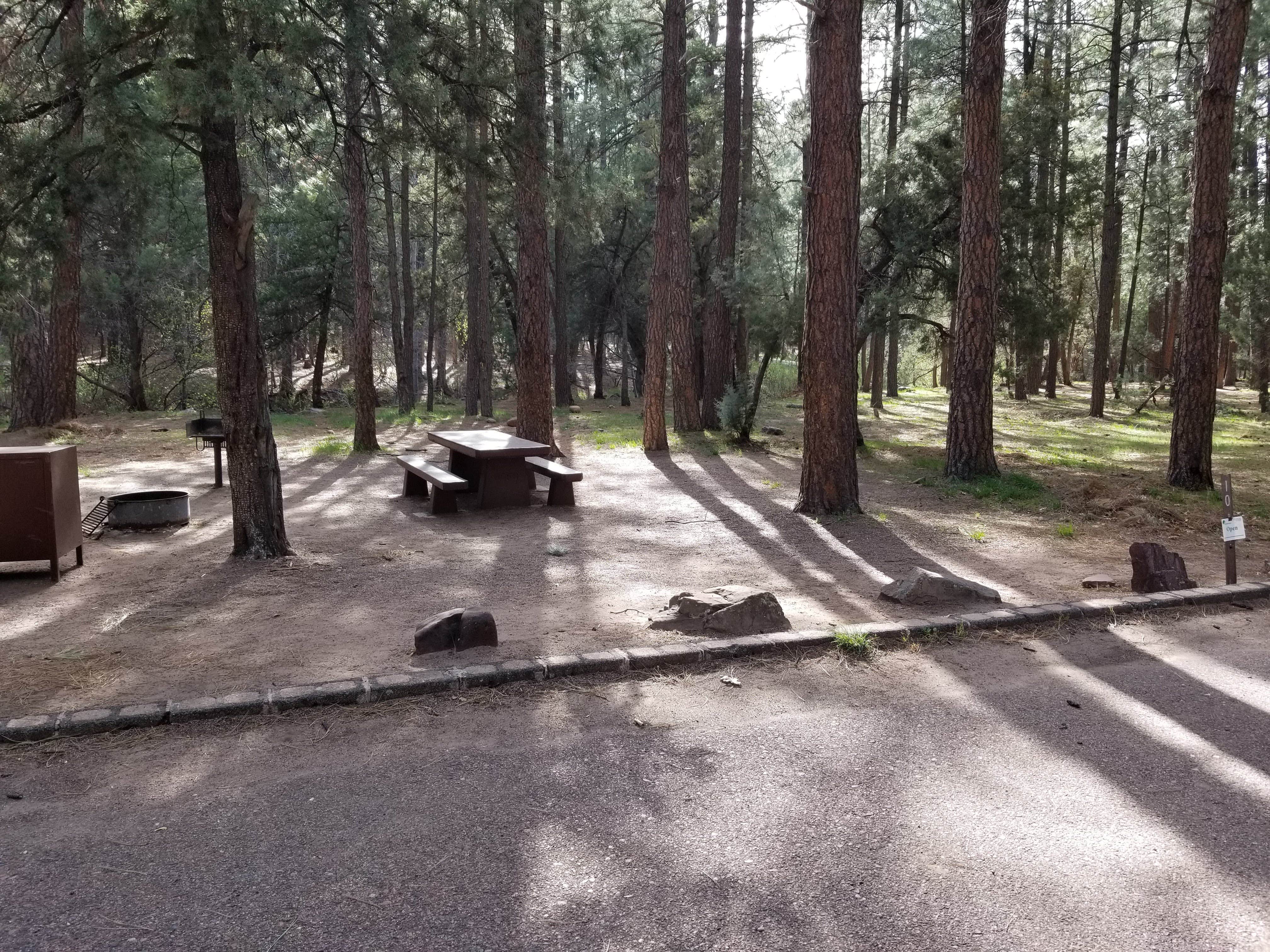 Camper submitted image from Christopher Creek - 3