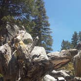 Review photo of Marion Mountain by Shannon C., August 31, 2016