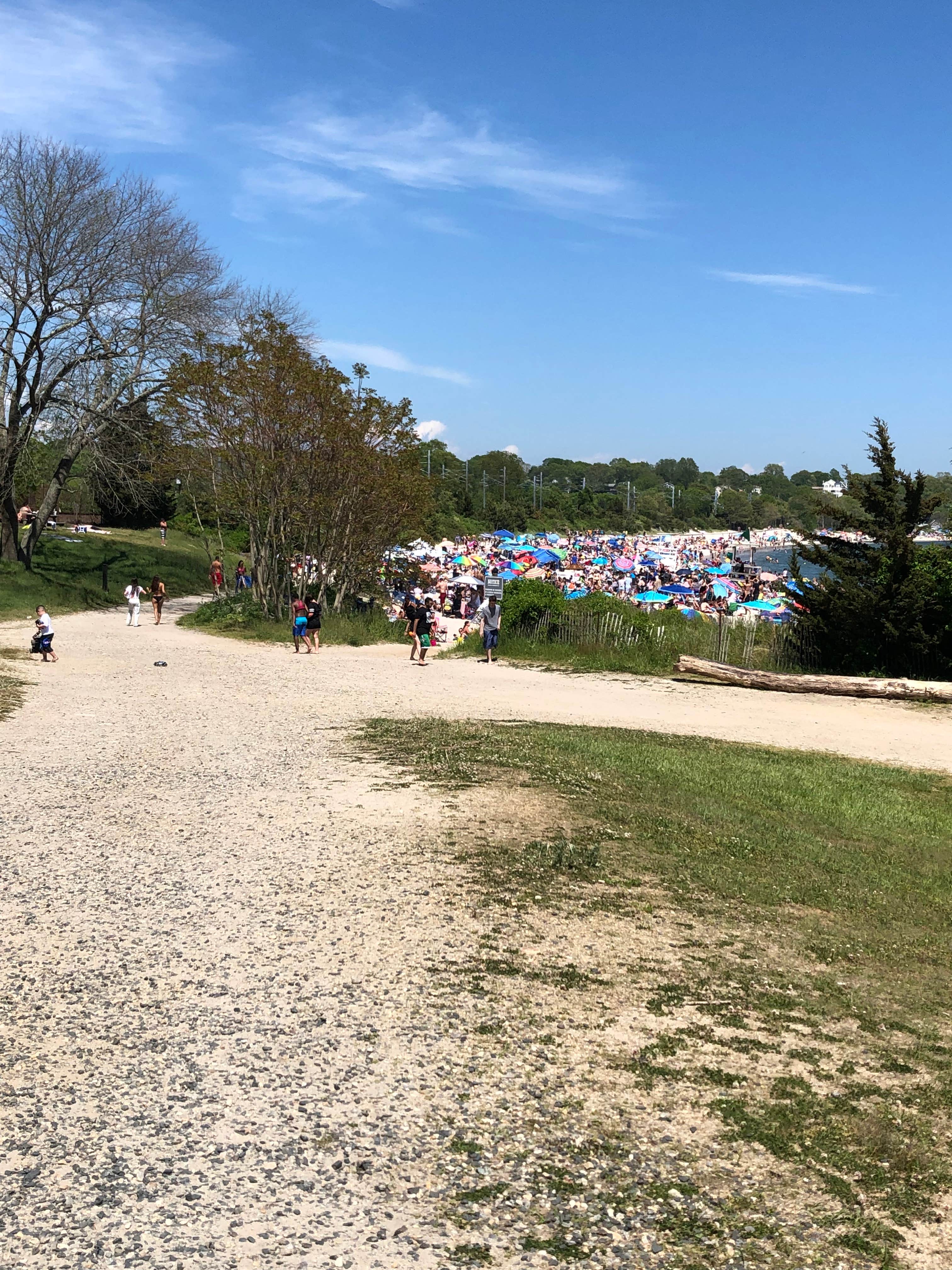 Camper submitted image from Rocky Neck State Park Campground - 4