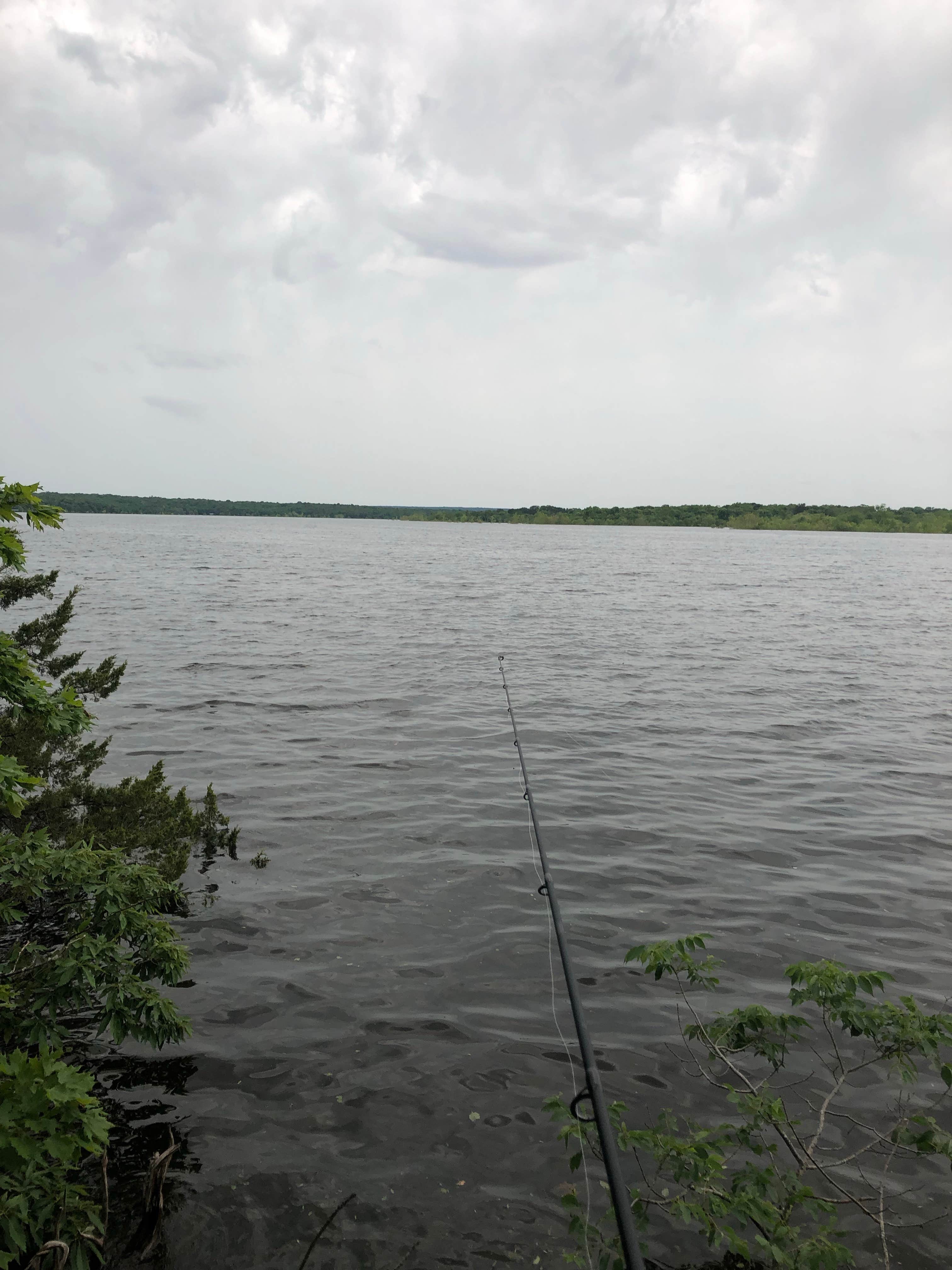 Camper-submitted photo at Pittsburg Park Campground near Pleasant Hope, MO