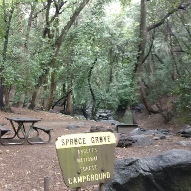 Spruce Grove Trail Campground - TEMPORARILY CLOSED DUE TO FIRE ...