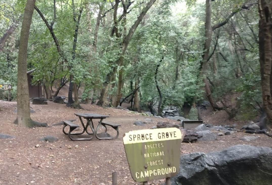 Camper submitted image from Spruce Grove Trail Campground - TEMPORARILY CLOSED DUE TO FIRE - 2