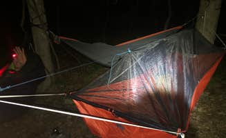 Cory D.'s photo of a dispersed camping area at Hemlock Ridge MUA Dispersed near Southbury, CT