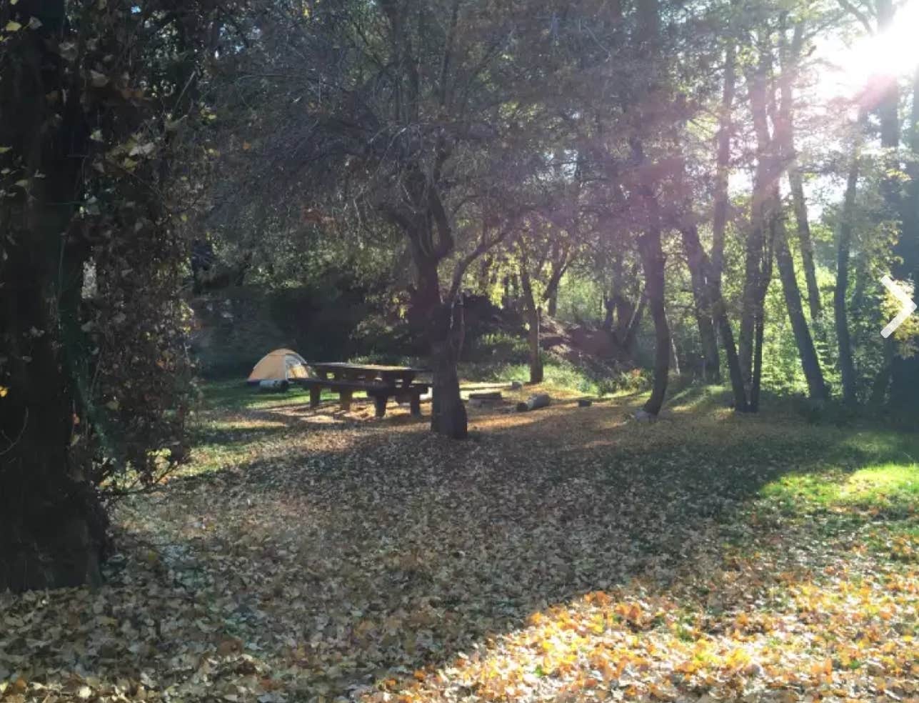 Valley forge sale trail camp