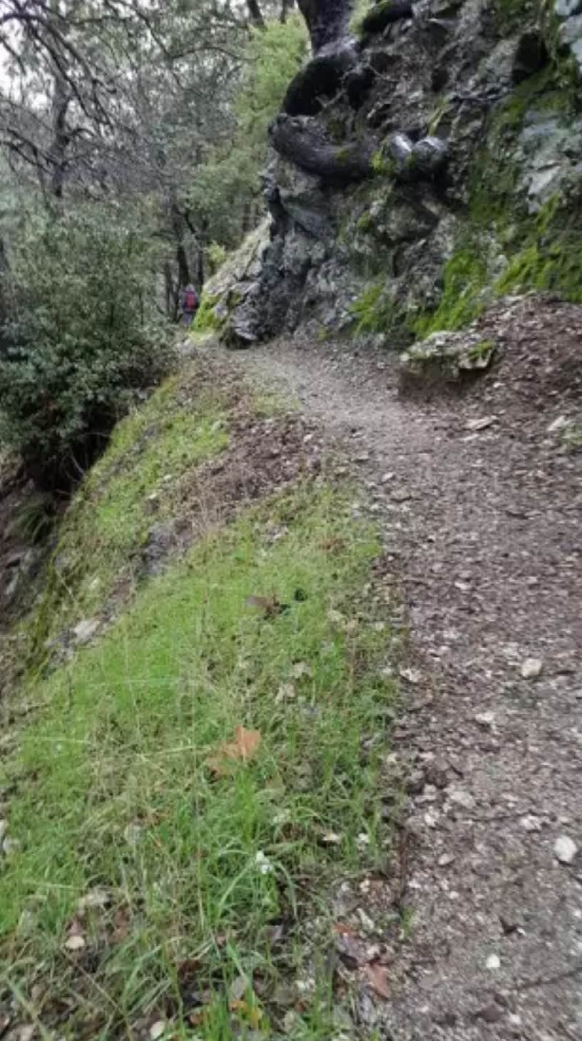 Camper-submitted photo at Valley Forge Trail Camp hike in. no drive near El Monte, CA