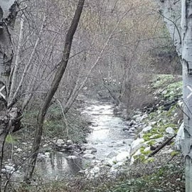A beautiful stretch of the creek