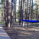 Review photo of Pinegrove Campground by JD G., May 28, 2019