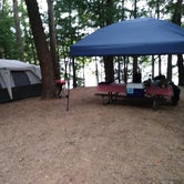 Review photo of Pawtuckaway State Park Campground by Ellen C., May 28, 2019