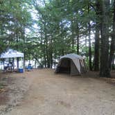 Review photo of Pawtuckaway State Park Campground by Ellen C., May 28, 2019