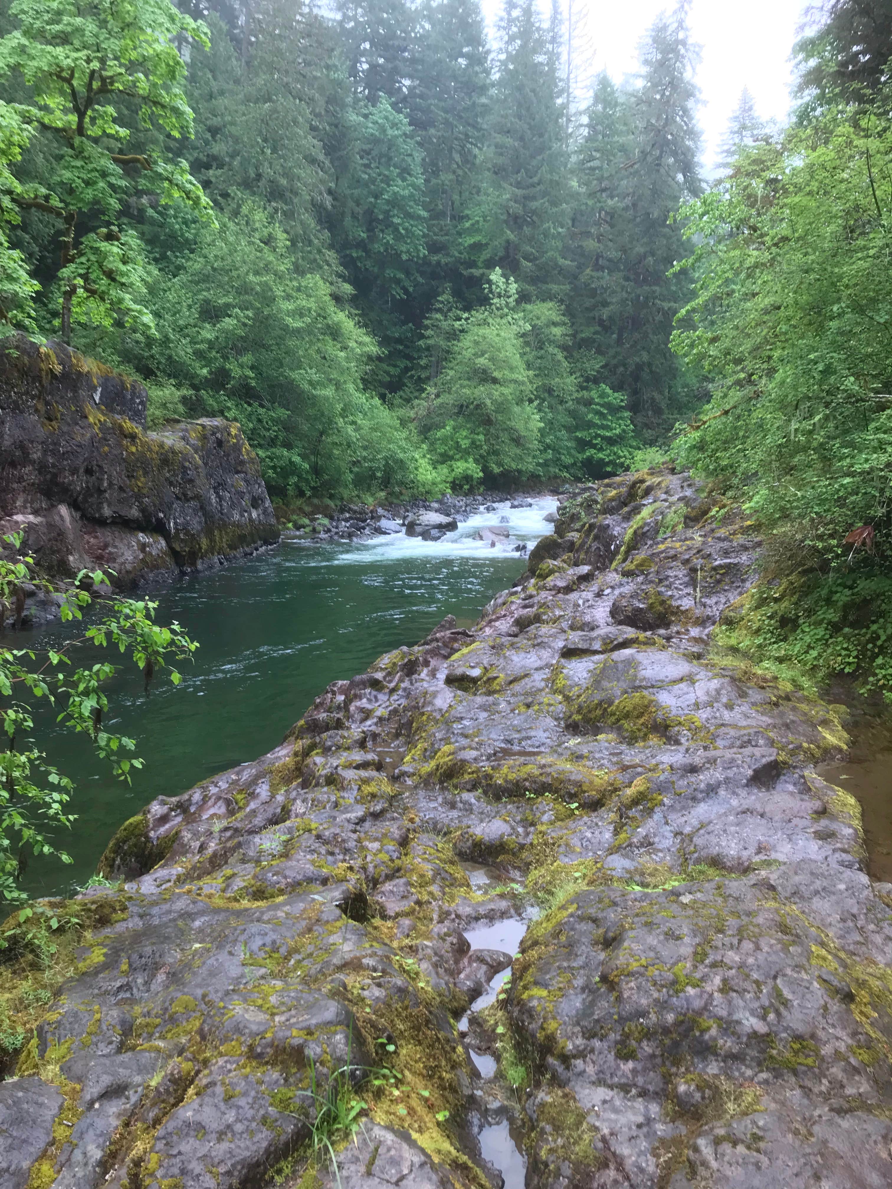 Camper-submitted photo at Elkhorn Valley Recreation Site - CLOSED DUE TO WILDFIRES near Lyons, OR