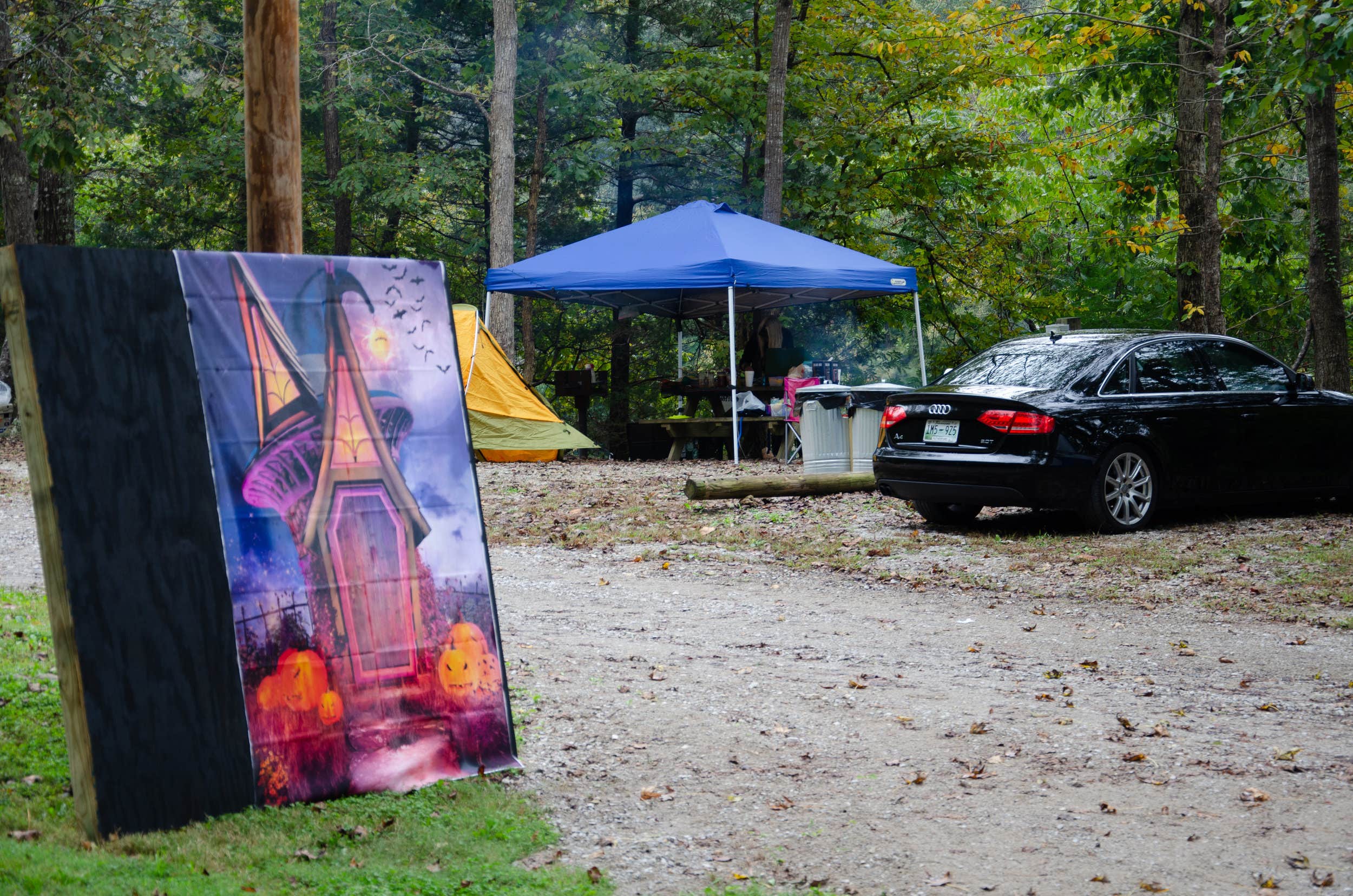 The Dyrt Ryan F.'s photo of tent camping at Horseshoe Bend Marina near Pocahontas, TN
