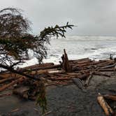 Review photo of Cape Disappointment State Park Campground by Chris S., May 29, 2019