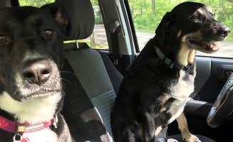 Shannon G.'s photo of camping with pets at Deer Creek State Park Campground near Kingston, OH