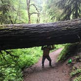 Review photo of Silver Falls State Park Campground by Darrel F., May 29, 2019