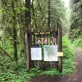 Review photo of Silver Falls State Park Campground by Darrel F., May 29, 2019
