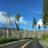 Review photo of Hodgdon Meadow Campground — Yosemite National Park by Susan V., May 29, 2019