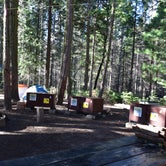 Review photo of Hodgdon Meadow Campground — Yosemite National Park by Susan V., May 29, 2019