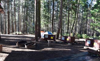 Susan V.'s photo at Hodgdon Meadow Campground — Yosemite National Park near El Portal, CA