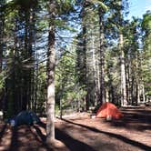 Review photo of Hodgdon Meadow Campground — Yosemite National Park by Susan V., May 29, 2019