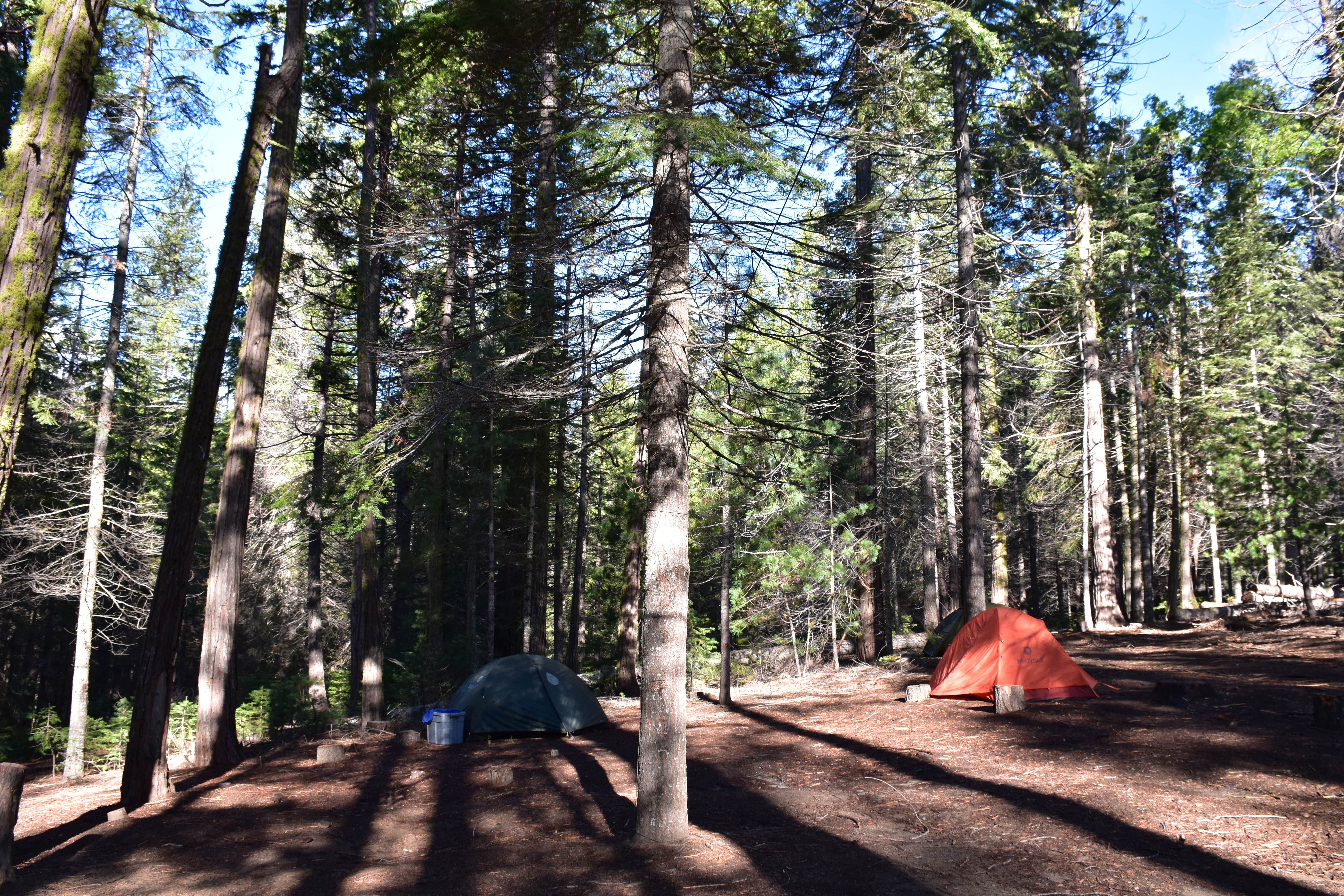 Another shot of the group camp site.