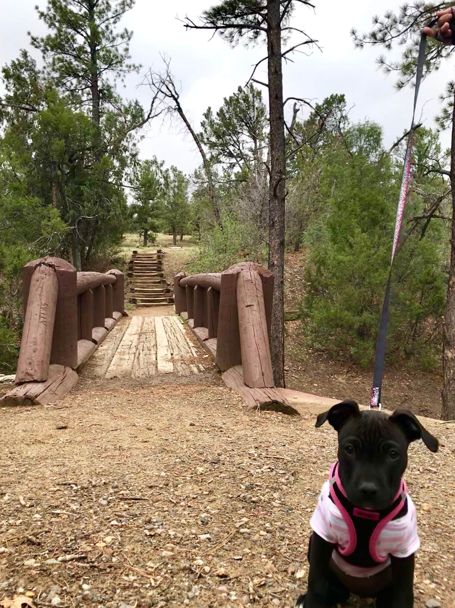 Camper submitted image from Coal Mine Campground - 3