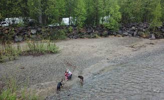 Erik J.'s photo of camping with pets at Montana Creek Campground near Talkeetna, AK
