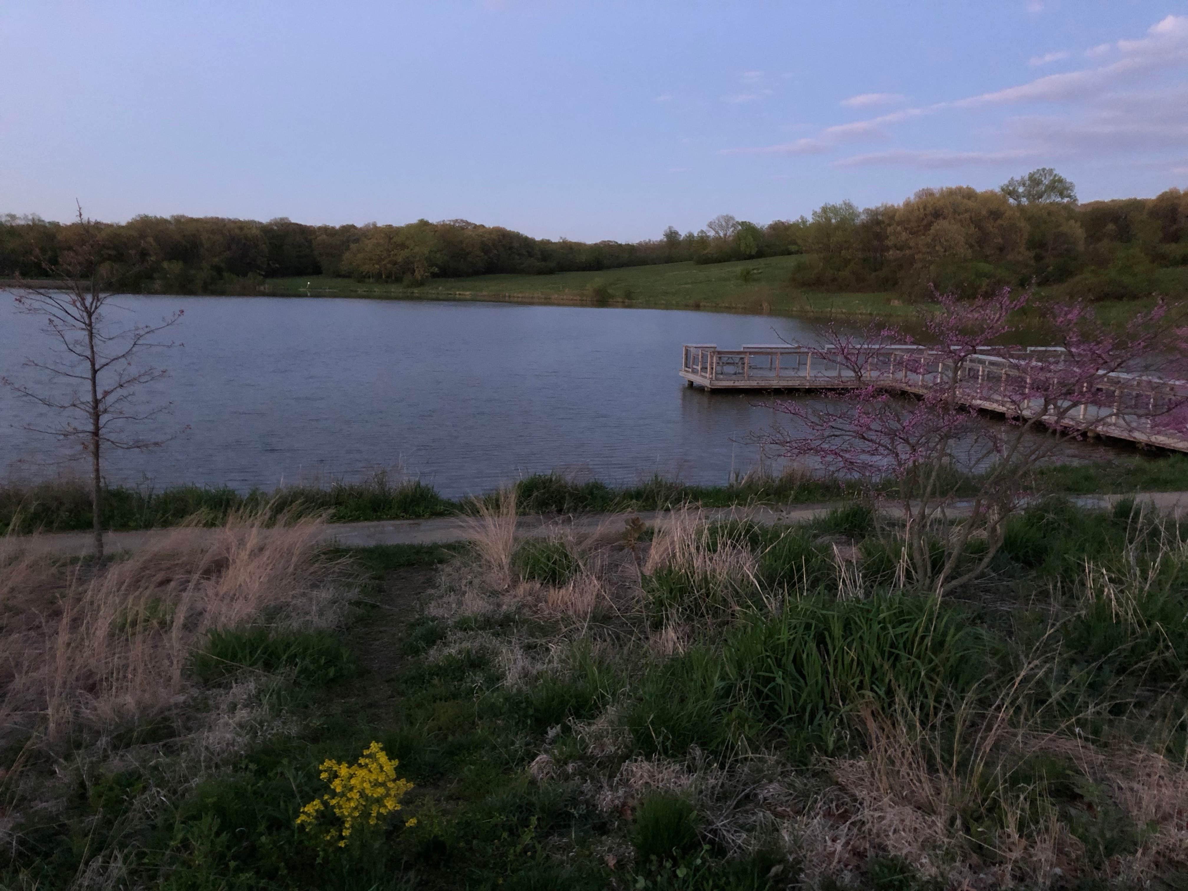 Camper submitted image from Camp Bullfrog Lake - 5