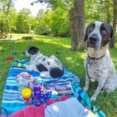 Review photo of Linville Falls Campground — Blue Ridge Parkway by Riley R., May 29, 2019