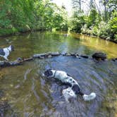 Review photo of Linville Falls Campground — Blue Ridge Parkway by Riley R., May 29, 2019