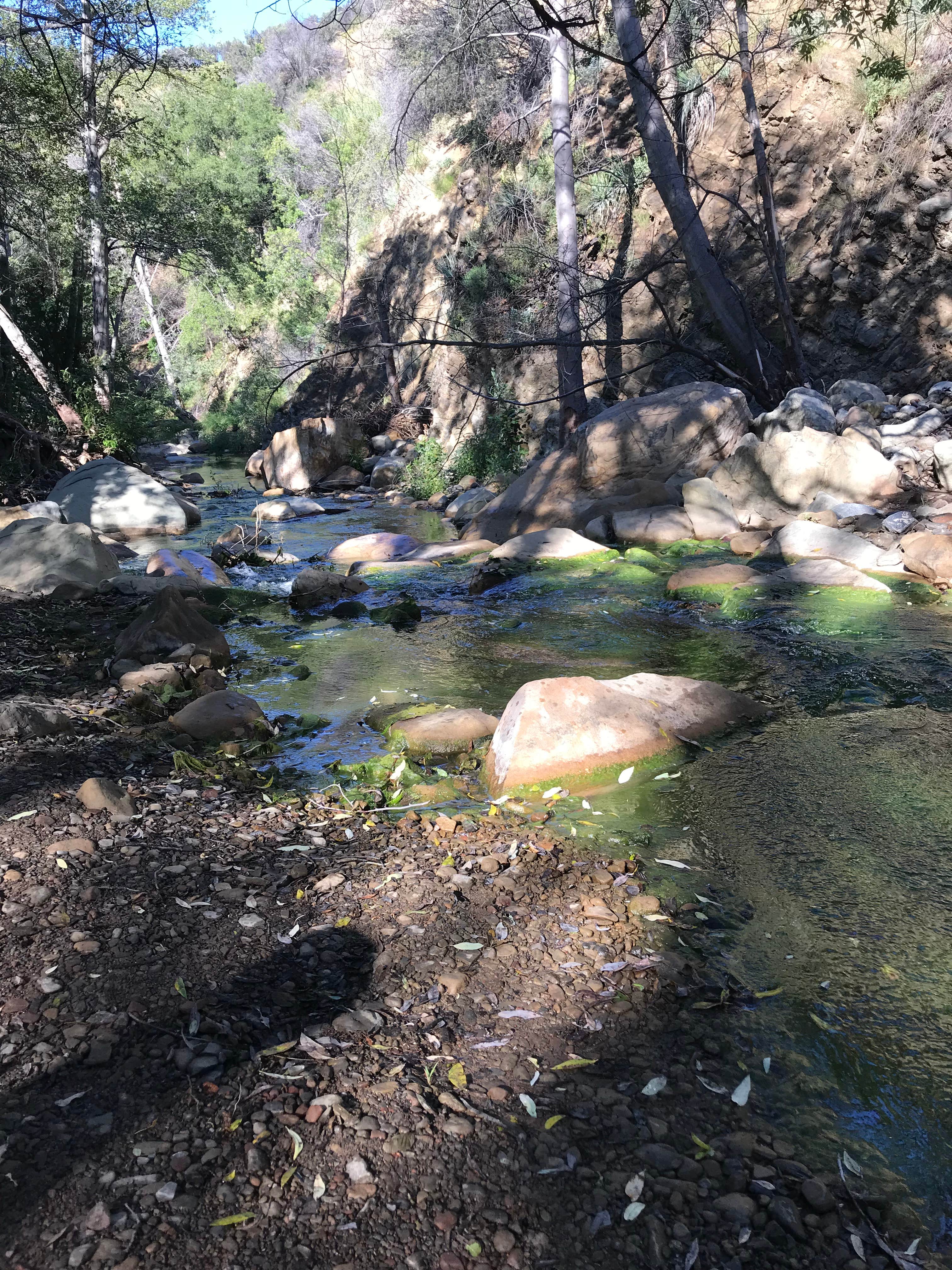 Wheeler Gorge Camping The Dyrt