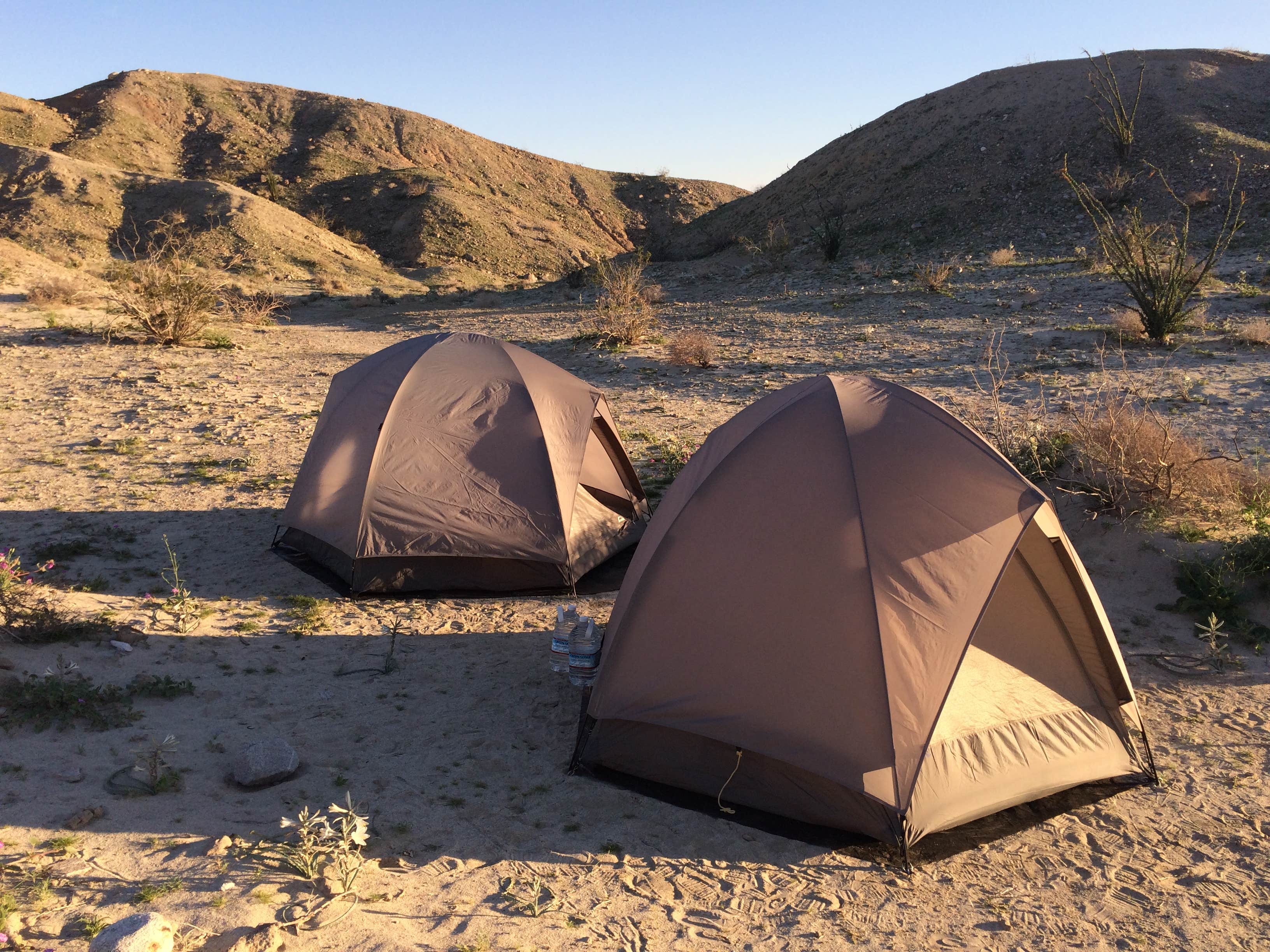 Susan V.'s photo at Arroyo Salado Primitive Campground — Anza-Borrego Desert State Park near Coolidge Springs, CA