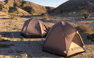Susan V.'s photo at Arroyo Salado Primitive Campground — Anza-Borrego Desert State Park near Ocotillo Wells, CA