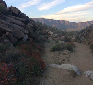 Camper-submitted photo from Yaqui Well Primitive Campground — Anza-Borrego Desert State Park