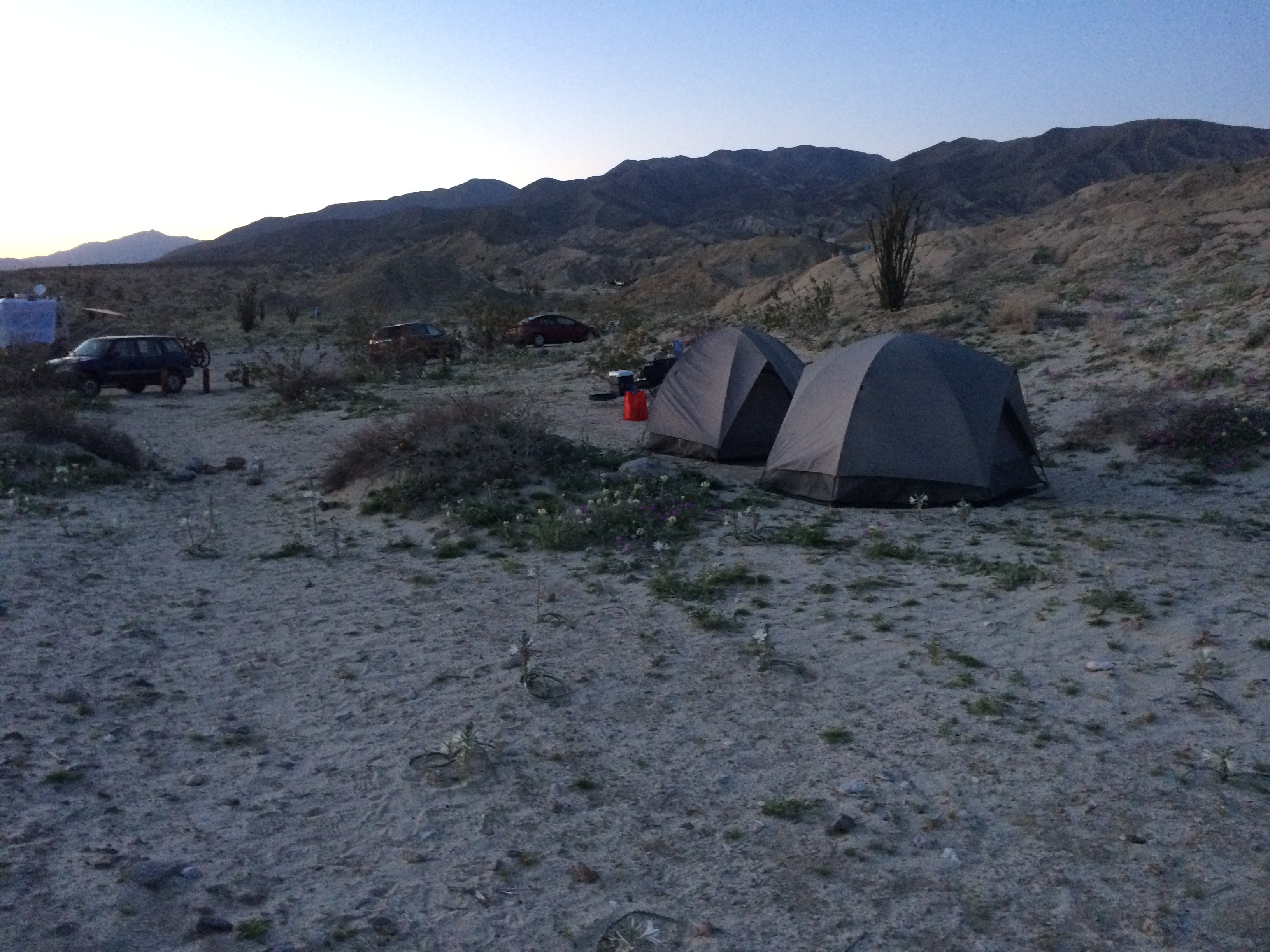 Camper submitted image from Arroyo Salado Primitive Campground — Anza-Borrego Desert State Park - 4